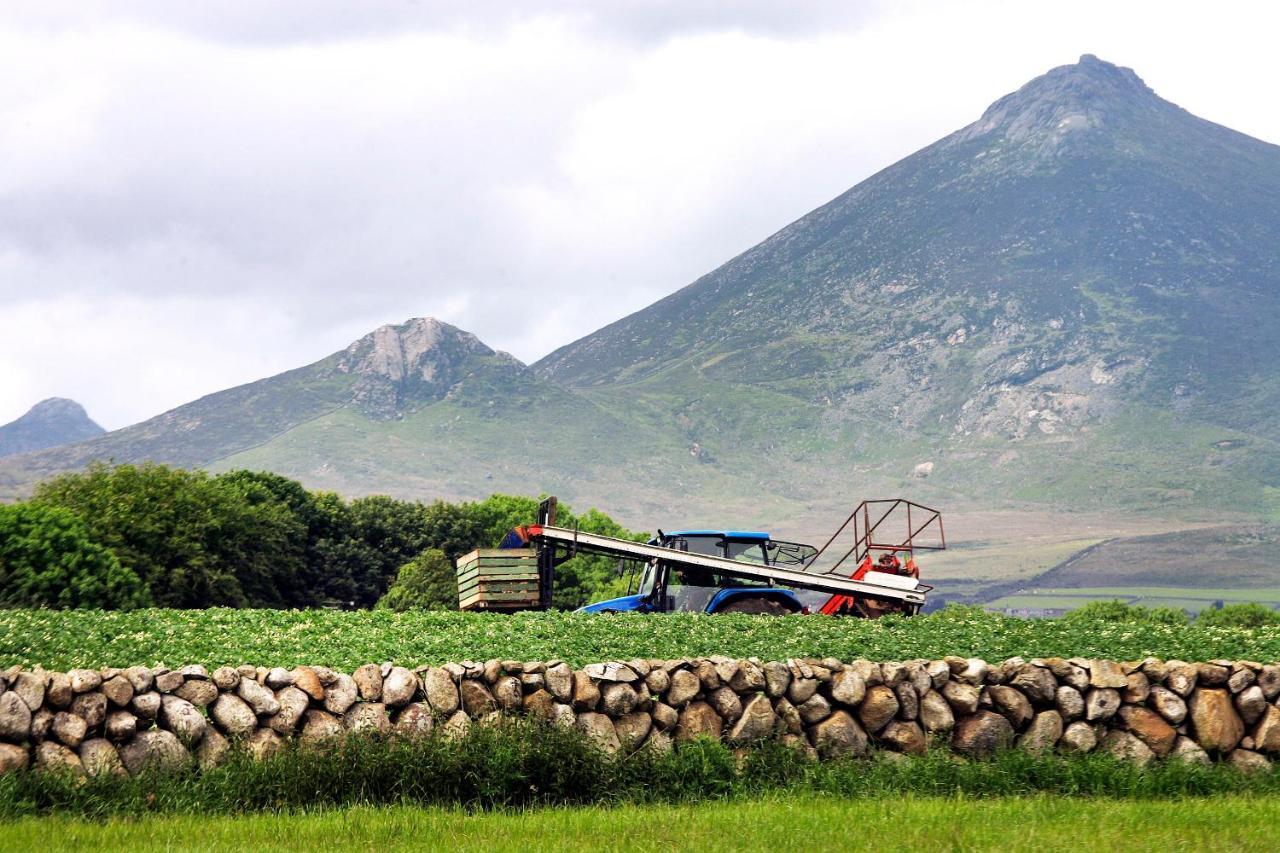 Ballykeel Farm, Mourne Mountains Ballymartin Εξωτερικό φωτογραφία